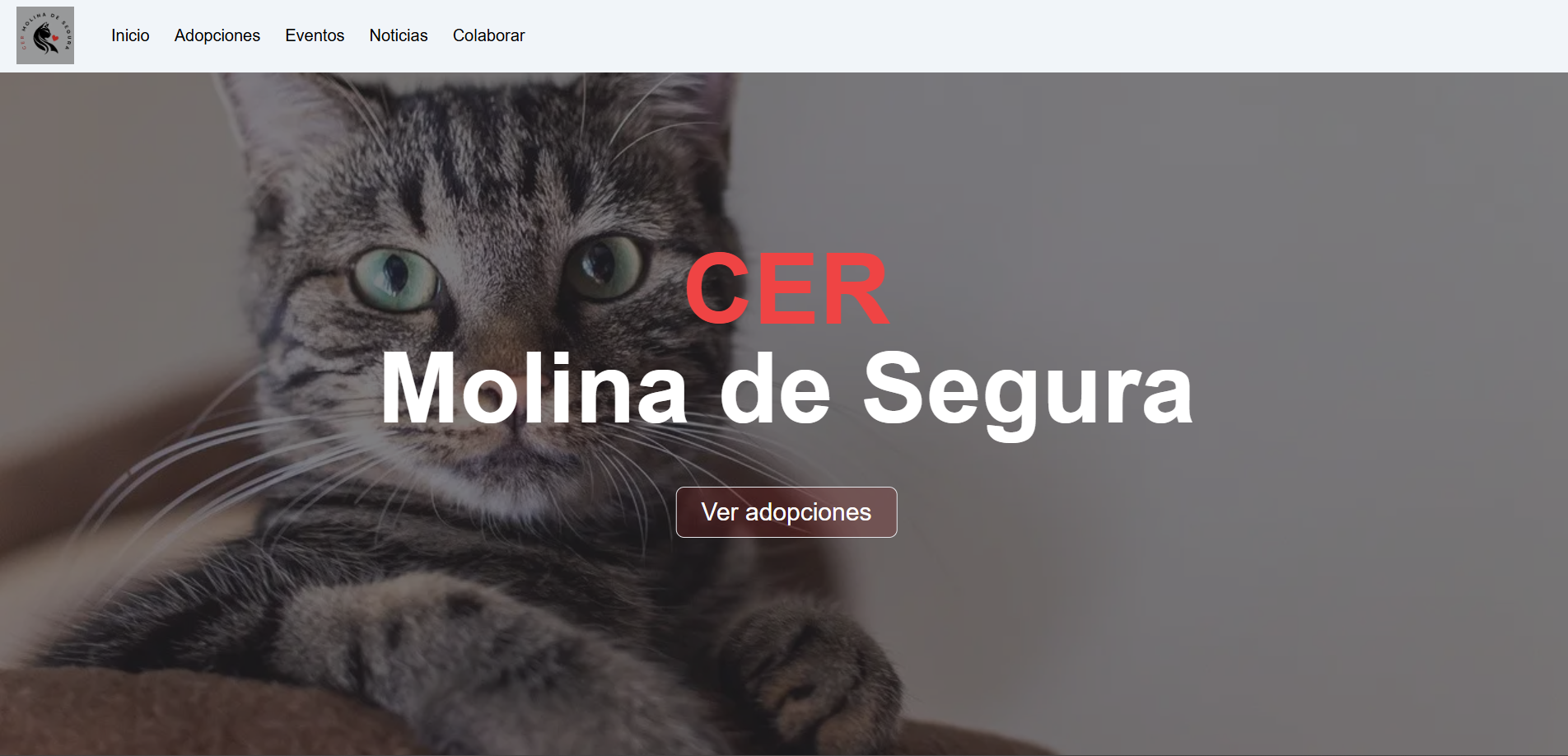 Cer Molina de Segura – Digital Innovation for Feline Protection